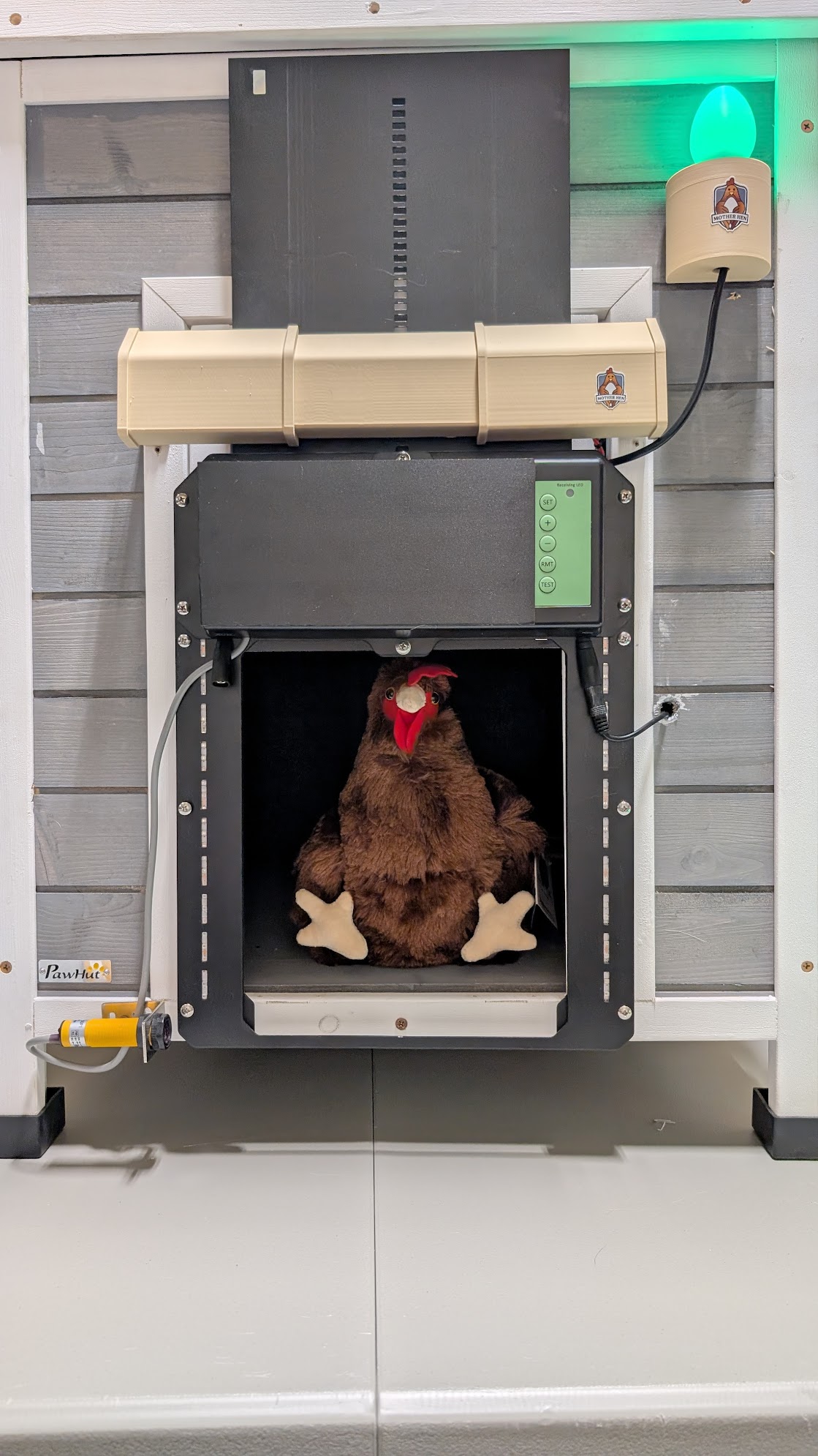 Mother Hen Installed