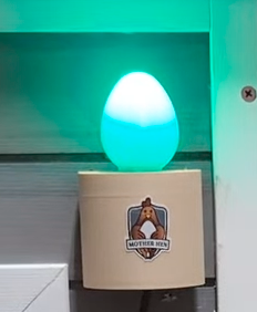 Mini Egg